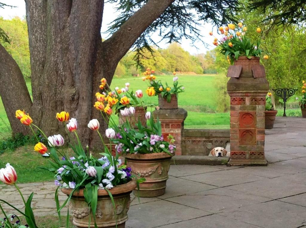 Hambledon House Bed & Breakfast Godalming Exterior photo